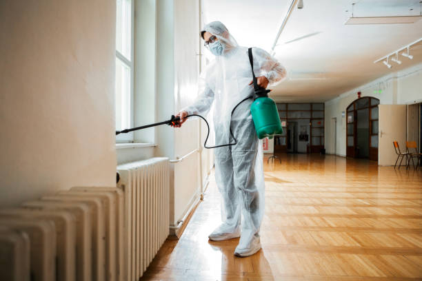 Real Estate Pest Inspections in New Bremen, OH